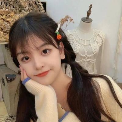 超级救援狗